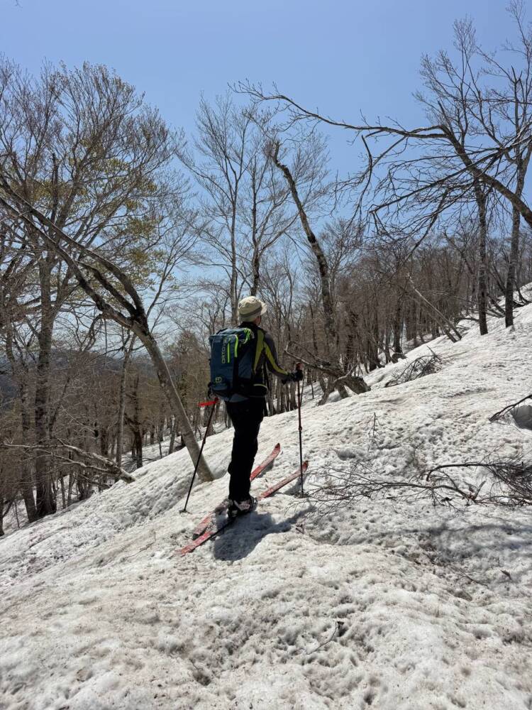 絶対にまた来たい最高のブナ原生林の景色に出会える山『扇ノ山』