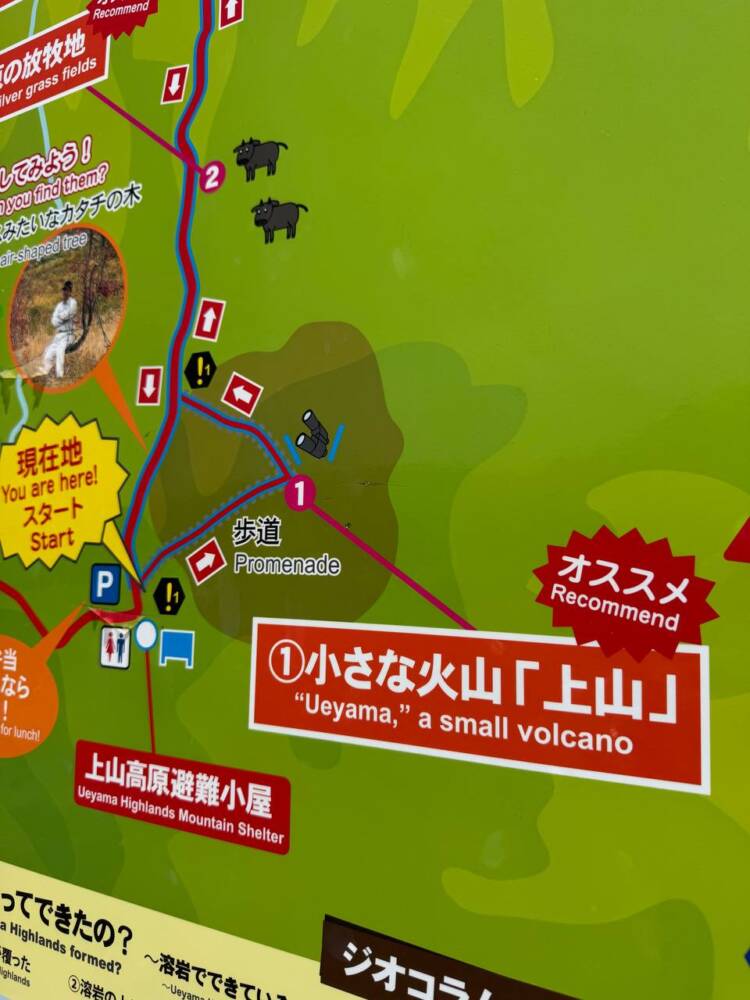 絶対にまた来たい最高のブナ原生林の景色に出会える山『扇ノ山』