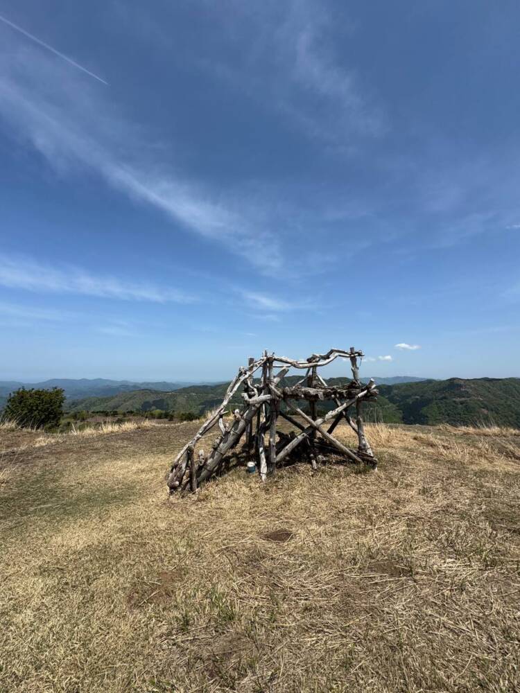 絶対にまた来たい最高のブナ原生林の景色に出会える山『扇ノ山』