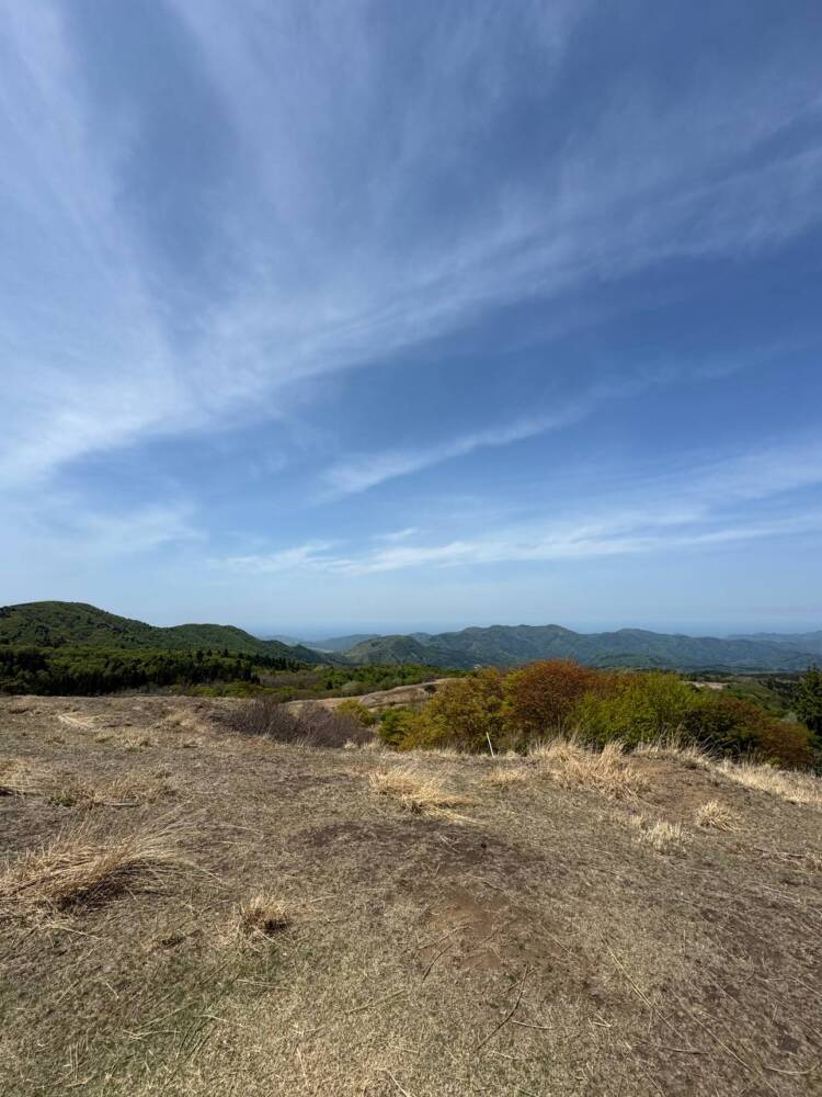 絶対にまた来たい最高のブナ原生林の景色に出会える山『扇ノ山』