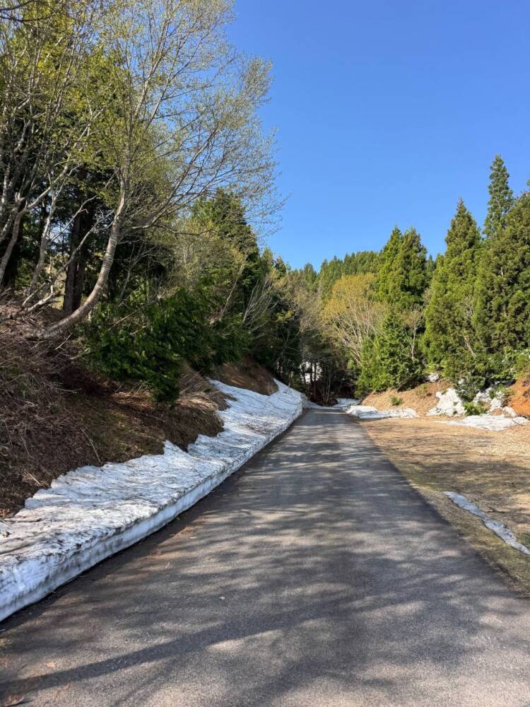 絶対にまた来たい最高のブナ原生林の景色に出会える山『扇ノ山』