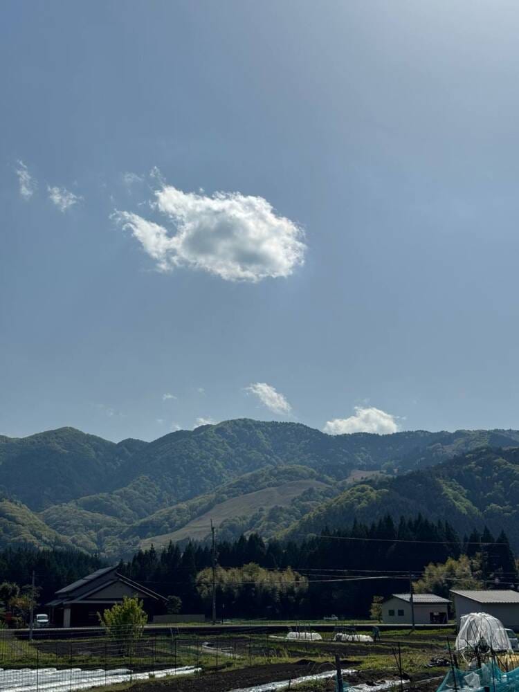 山頂からの眺望は最高だった関西百名山『蘇武岳』