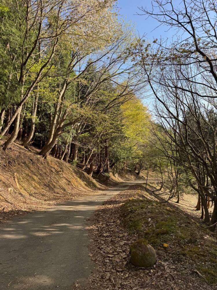 山頂からの眺望は最高だった関西百名山『蘇武岳』
