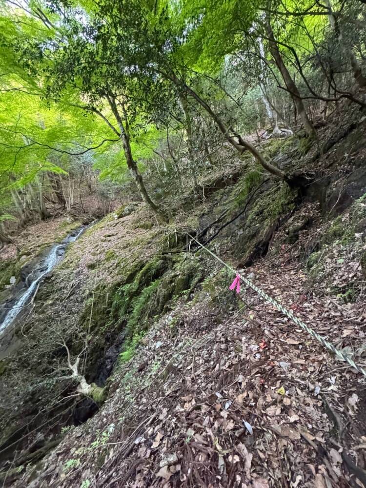 日本三景・天橋立や日本海も楽しめる丹後富士とも呼ばれる絶景の山『由良ヶ岳』