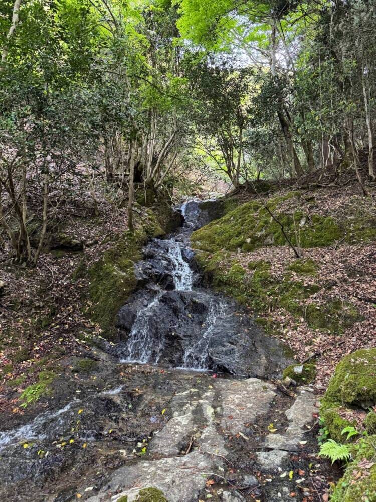 日本三景・天橋立や日本海も楽しめる丹後富士とも呼ばれる絶景の山『由良ヶ岳』