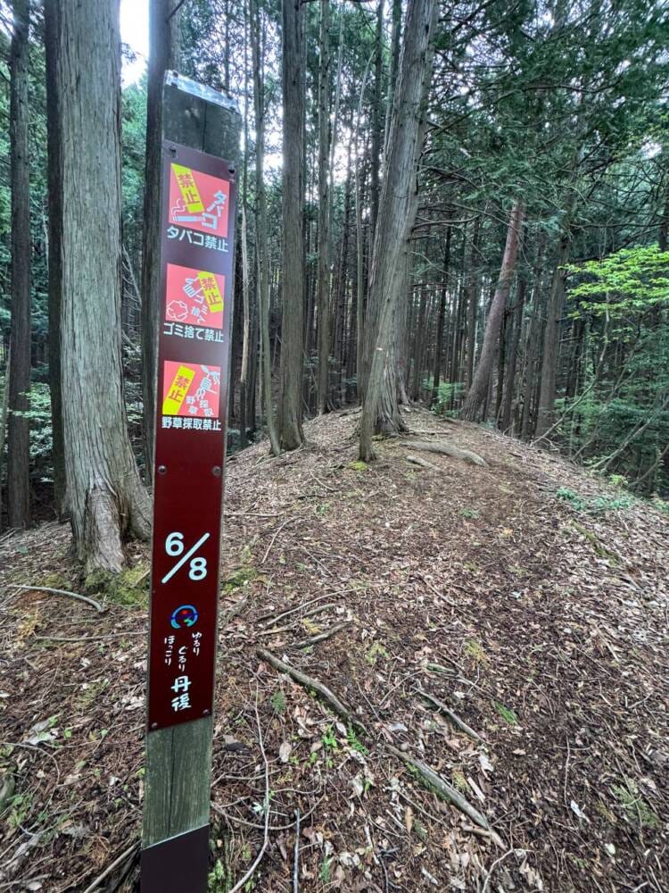 日本三景・天橋立や日本海も楽しめる丹後富士とも呼ばれる絶景の山『由良ヶ岳』