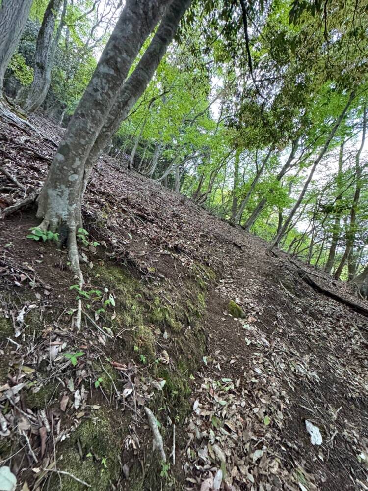 日本三景・天橋立や日本海も楽しめる丹後富士とも呼ばれる絶景の山『由良ヶ岳』