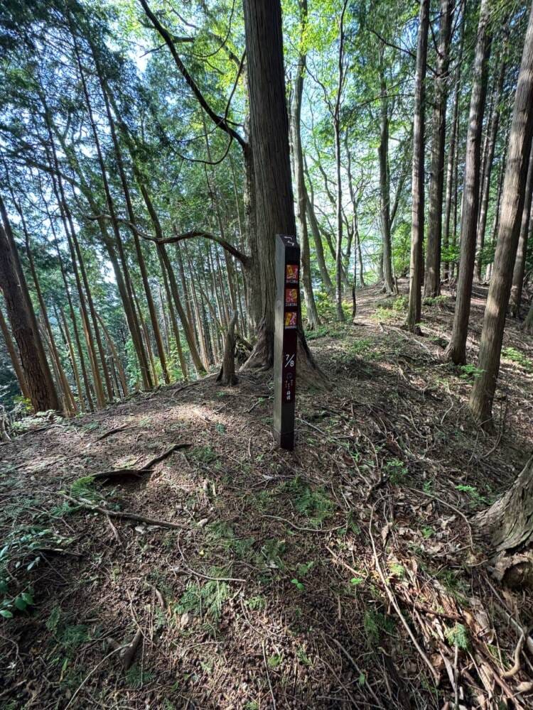 日本三景・天橋立や日本海も楽しめる丹後富士とも呼ばれる絶景の山『由良ヶ岳』