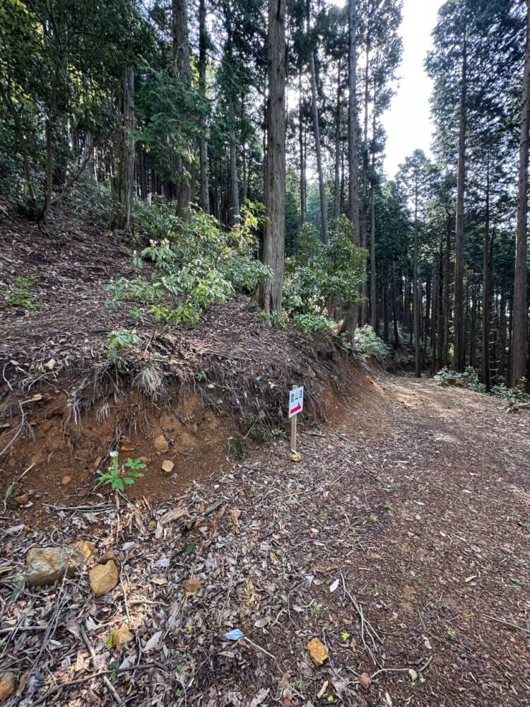 日本三景・天橋立や日本海も楽しめる丹後富士とも呼ばれる絶景の山『由良ヶ岳』