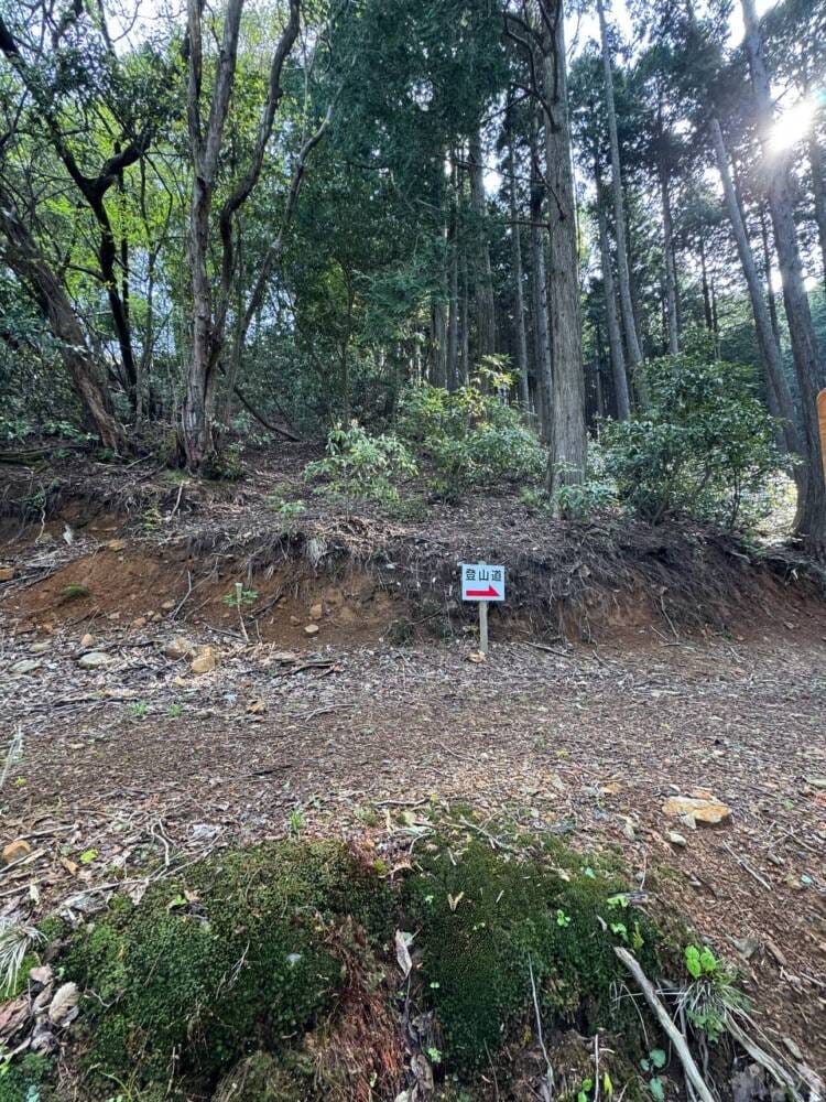 日本三景・天橋立や日本海も楽しめる丹後富士とも呼ばれる絶景の山『由良ヶ岳』