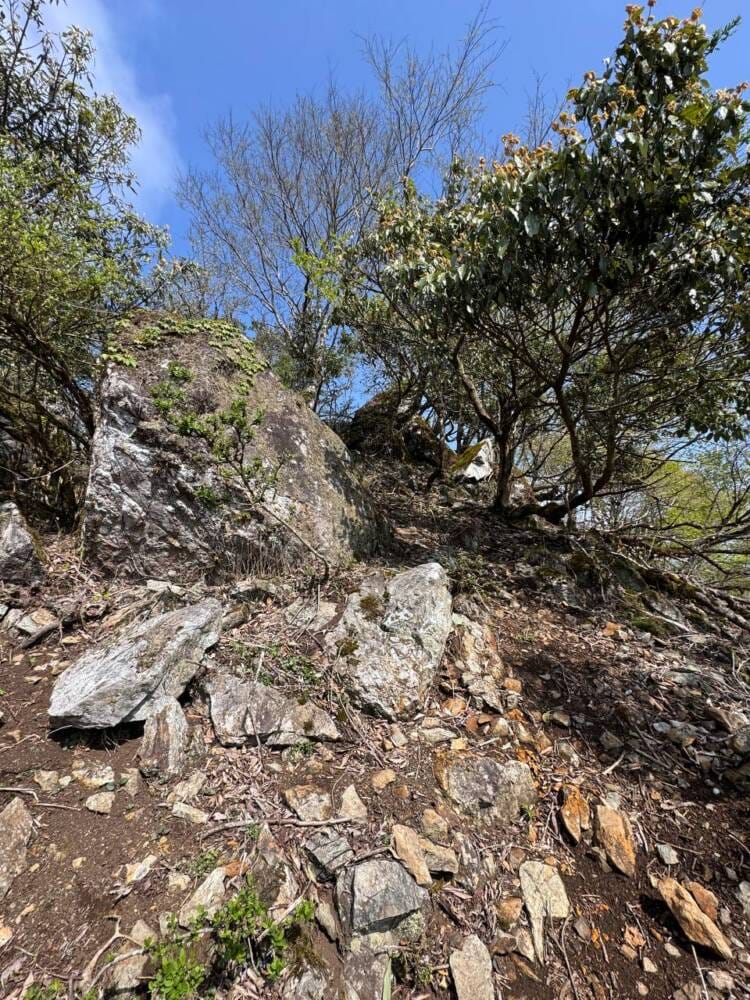 日本三景・天橋立や日本海も楽しめる丹後富士とも呼ばれる絶景の山『由良ヶ岳』