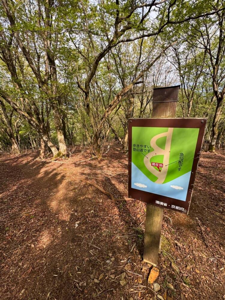 日本三景・天橋立や日本海も楽しめる丹後富士とも呼ばれる絶景の山『由良ヶ岳』