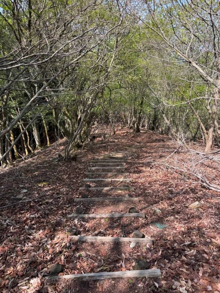 日本三景・天橋立や日本海も楽しめる丹後富士とも呼ばれる絶景の山『由良ヶ岳』