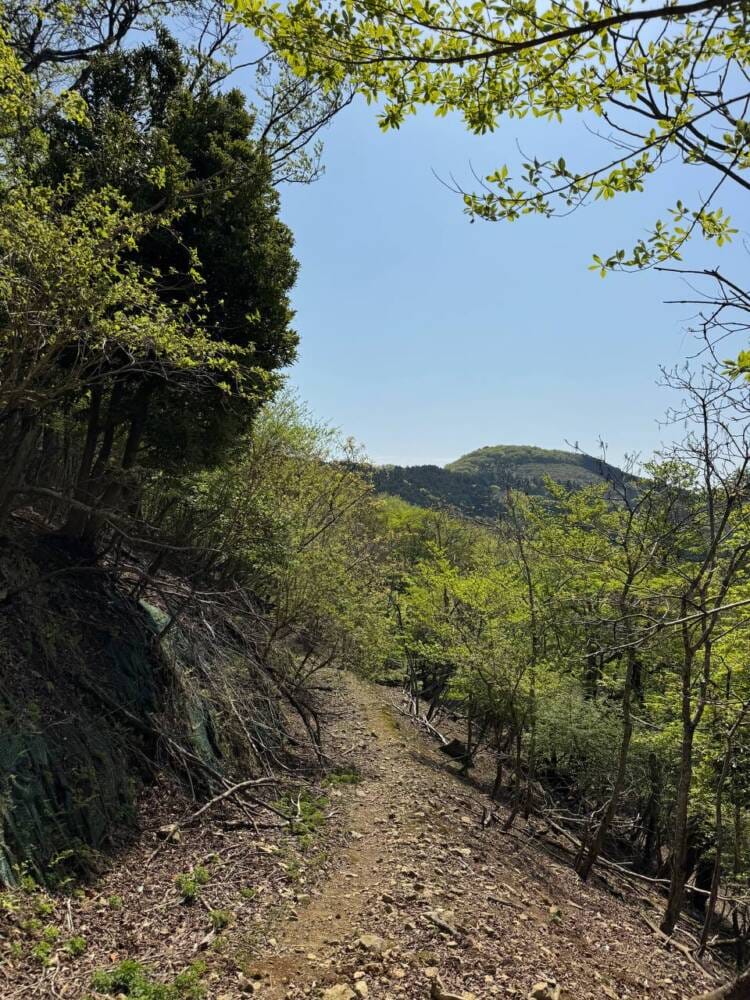 日本三景・天橋立や日本海も楽しめる丹後富士とも呼ばれる絶景の山『由良ヶ岳』