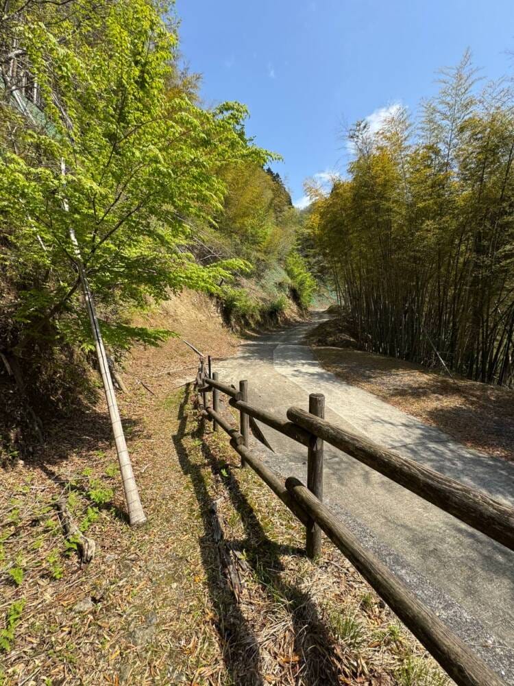日本三景・天橋立や日本海も楽しめる丹後富士とも呼ばれる絶景の山『由良ヶ岳』