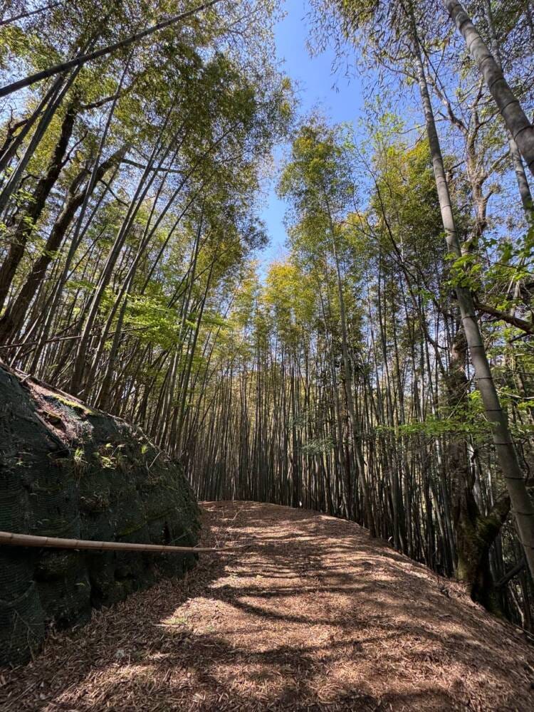 日本三景・天橋立や日本海も楽しめる丹後富士とも呼ばれる絶景の山『由良ヶ岳』