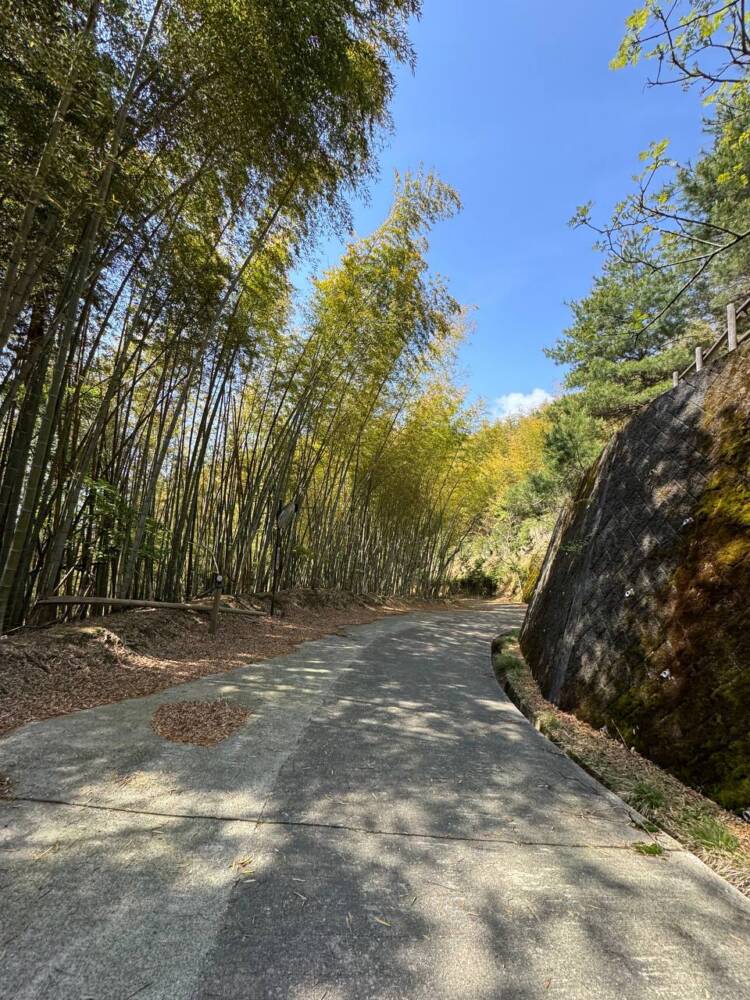 日本三景・天橋立や日本海も楽しめる丹後富士とも呼ばれる絶景の山『由良ヶ岳』