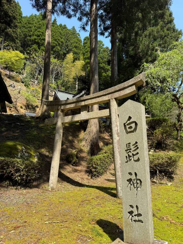 日本三景・天橋立や日本海も楽しめる丹後富士とも呼ばれる絶景の山『由良ヶ岳』