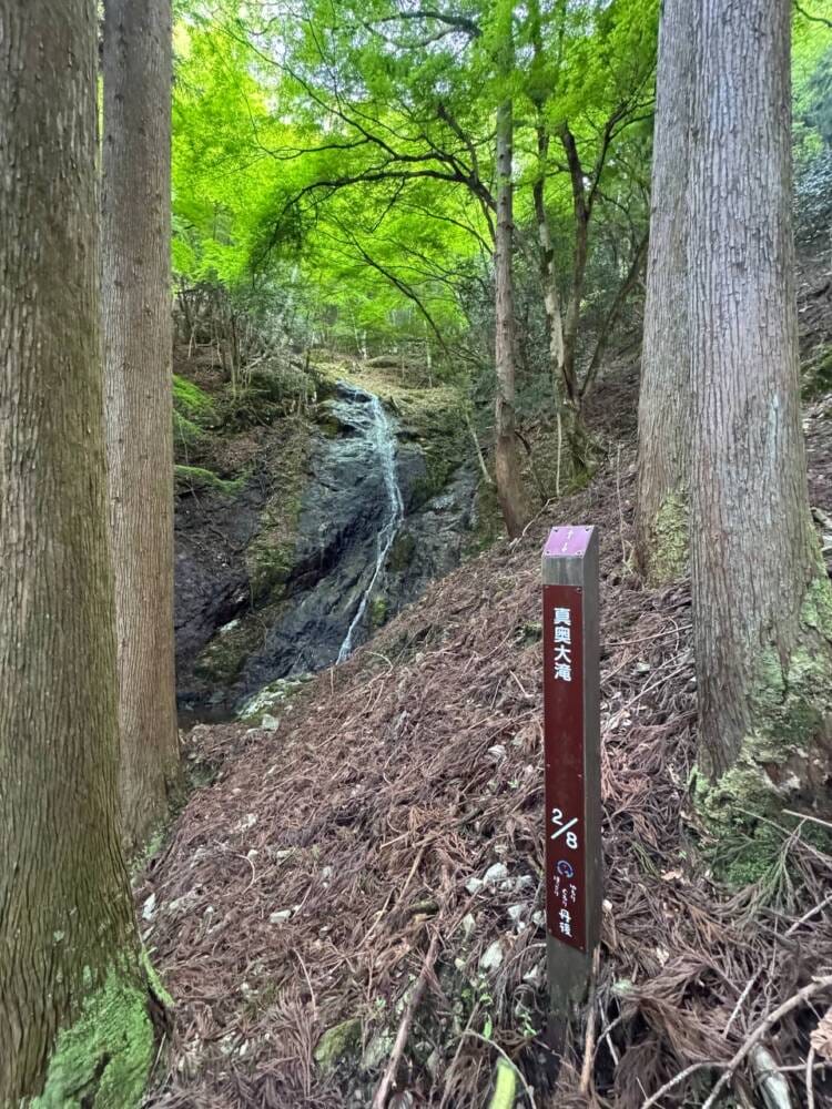 日本三景・天橋立や日本海も楽しめる丹後富士とも呼ばれる絶景の山『由良ヶ岳』