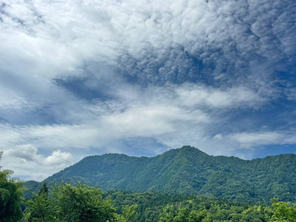 涼しい風が吹き流れる海の景色が美しい双耳峰の山『青葉山』
