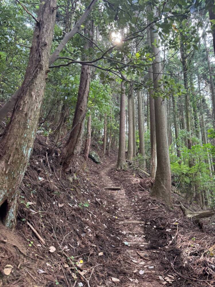 涼しい風が吹き流れる海の景色が美しい双耳峰の山『青葉山』