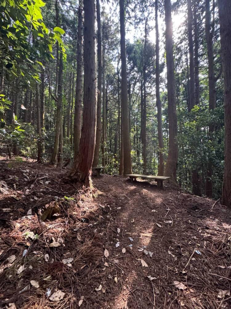 涼しい風が吹き流れる海の景色が美しい双耳峰の山『青葉山』