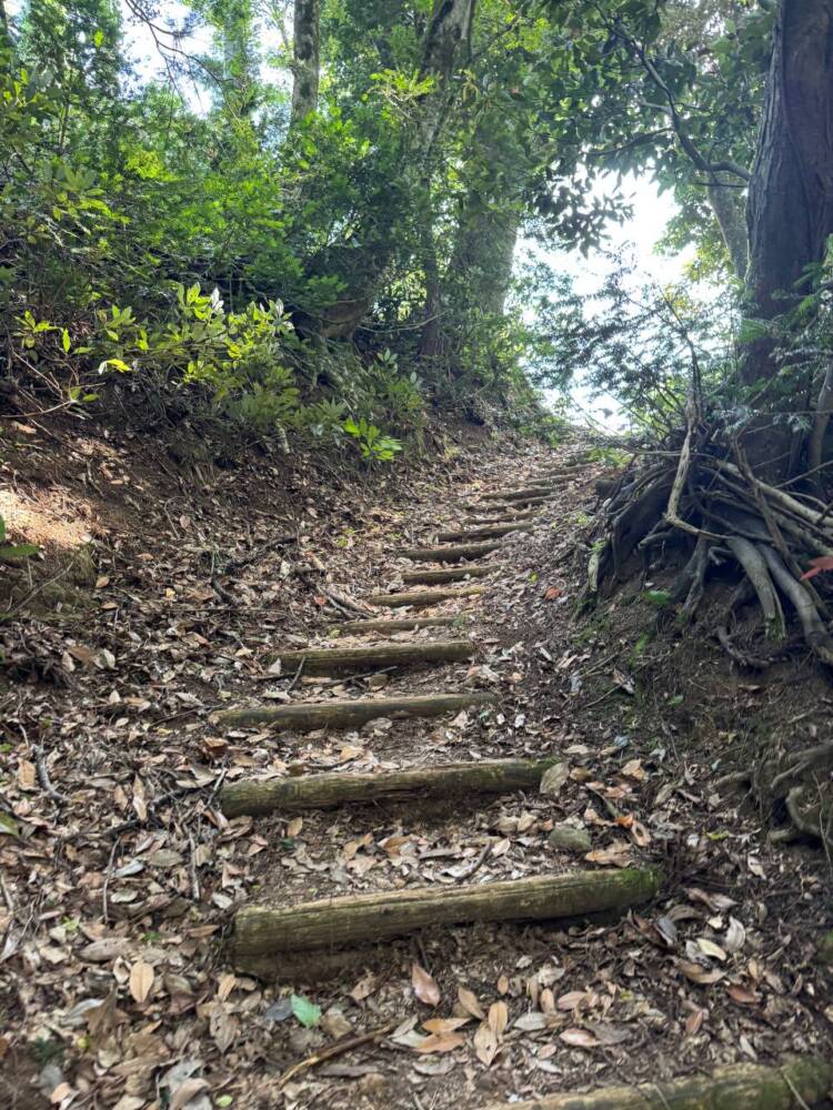 涼しい風が吹き流れる海の景色が美しい双耳峰の山『青葉山』