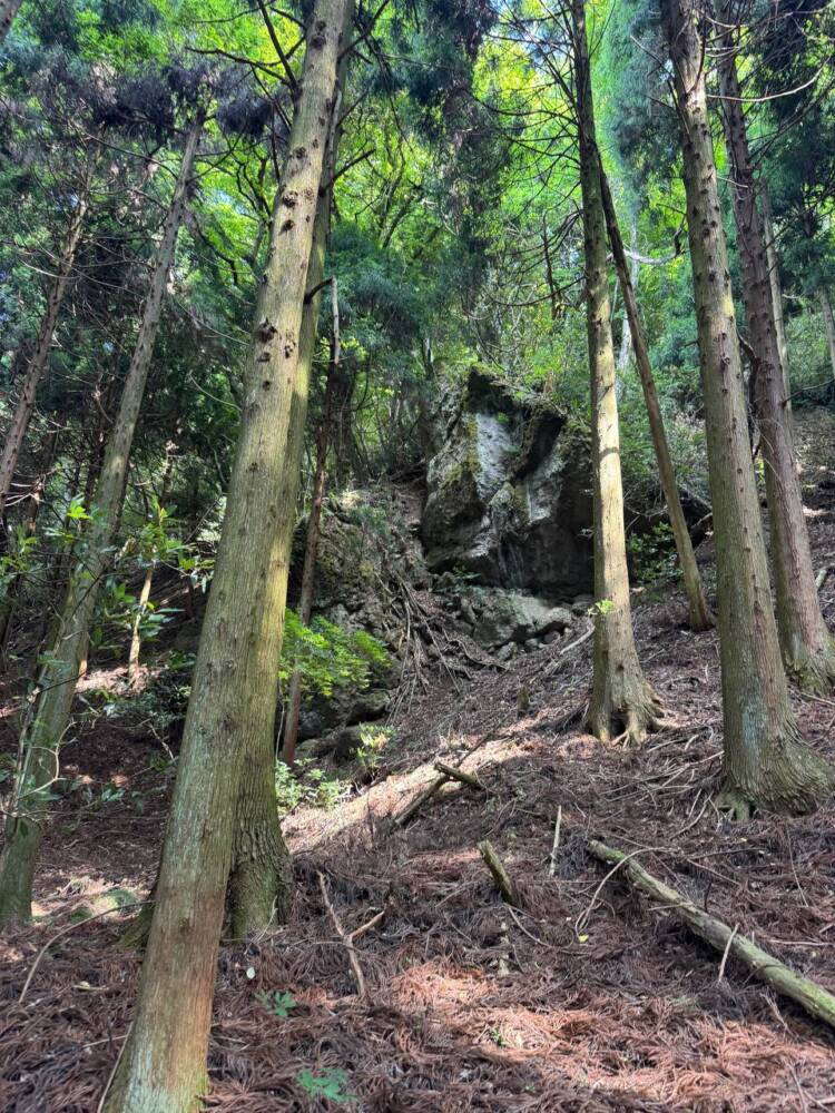 涼しい風が吹き流れる海の景色が美しい双耳峰の山『青葉山』