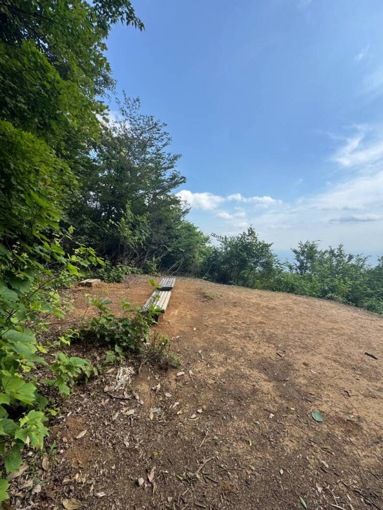 涼しい風が吹き流れる海の景色が美しい双耳峰の山『青葉山』