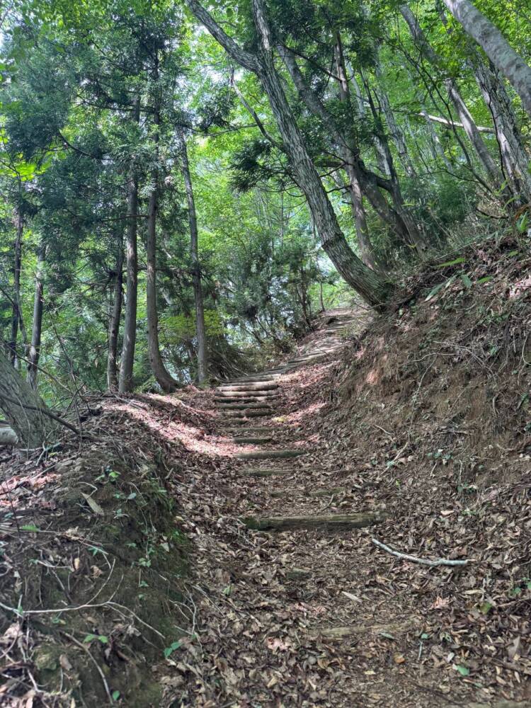 涼しい風が吹き流れる海の景色が美しい双耳峰の山『青葉山』