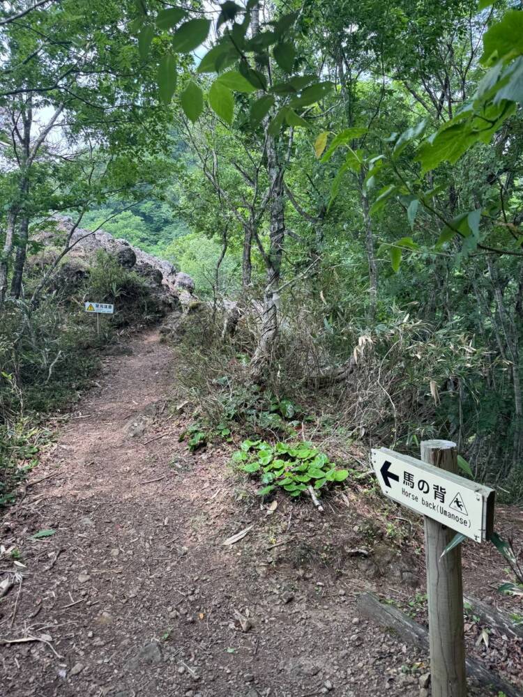 涼しい風が吹き流れる海の景色が美しい双耳峰の山『青葉山』