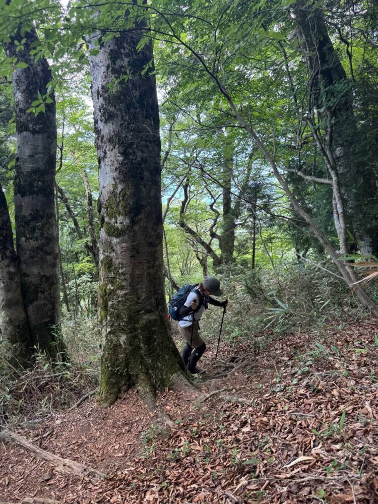 涼しい風が吹き流れる海の景色が美しい双耳峰の山『青葉山』
