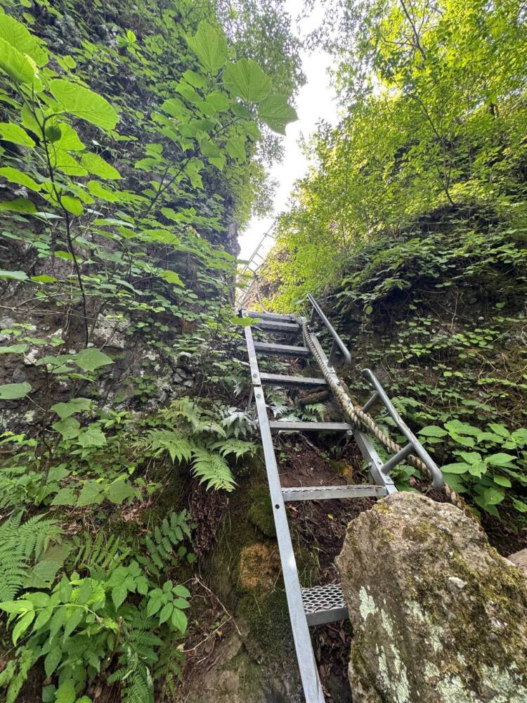 涼しい風が吹き流れる海の景色が美しい双耳峰の山『青葉山』
