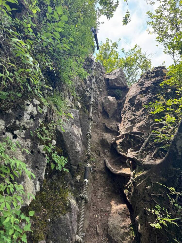 涼しい風が吹き流れる海の景色が美しい双耳峰の山『青葉山』