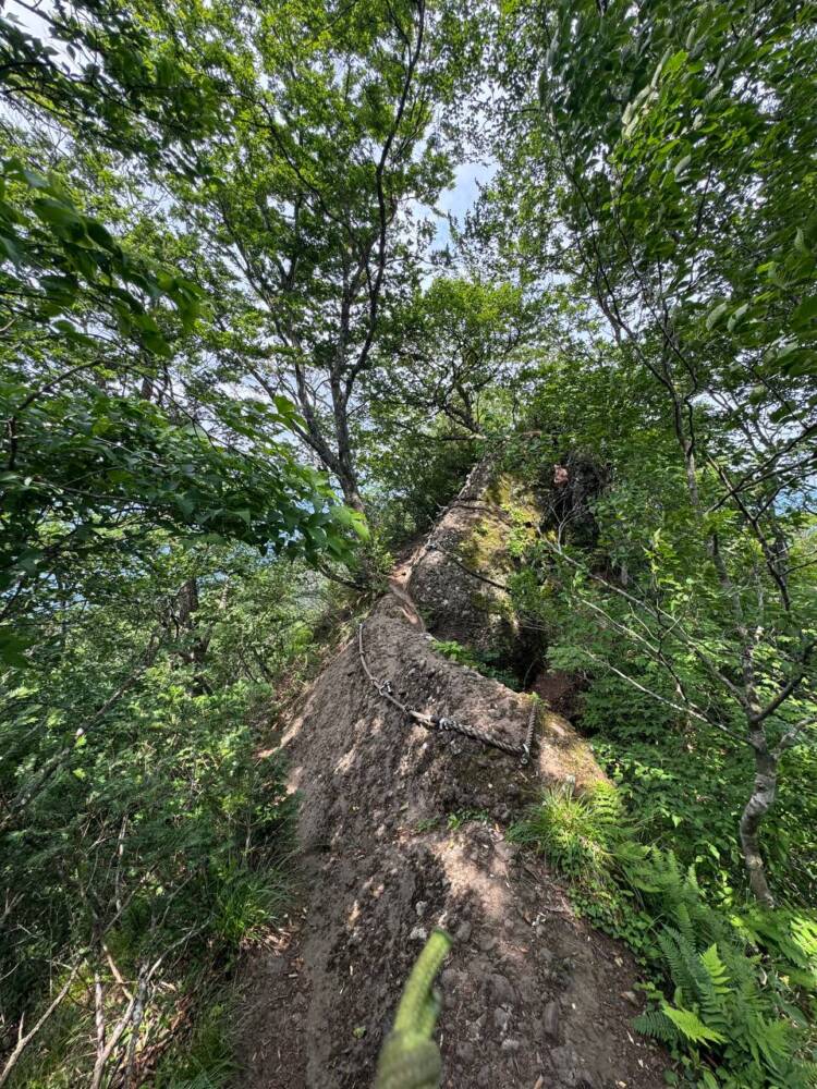 涼しい風が吹き流れる海の景色が美しい双耳峰の山『青葉山』