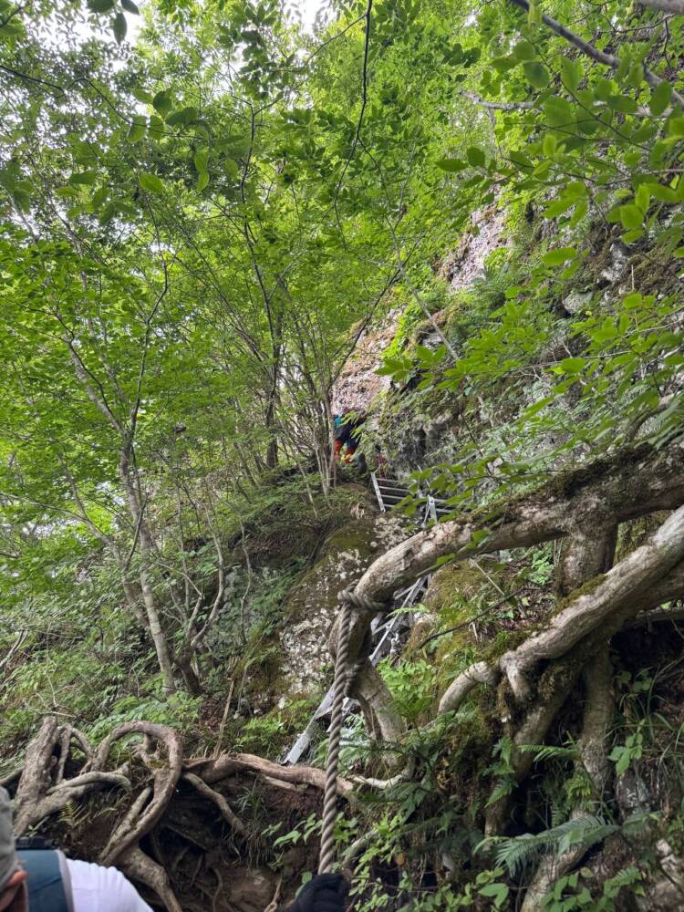 涼しい風が吹き流れる海の景色が美しい双耳峰の山『青葉山』