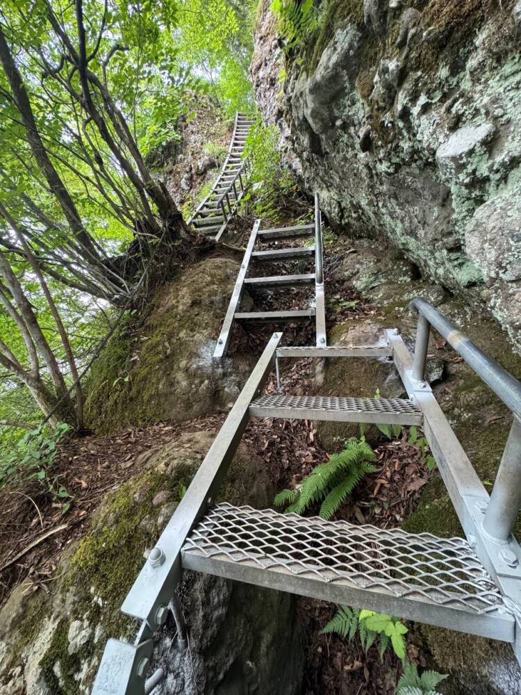 涼しい風が吹き流れる海の景色が美しい双耳峰の山『青葉山』