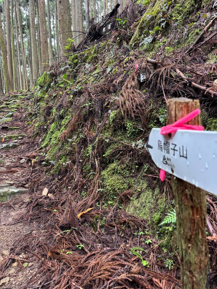 数々の集落跡地が残る景色が見れる新日本百名山『烏帽子山』