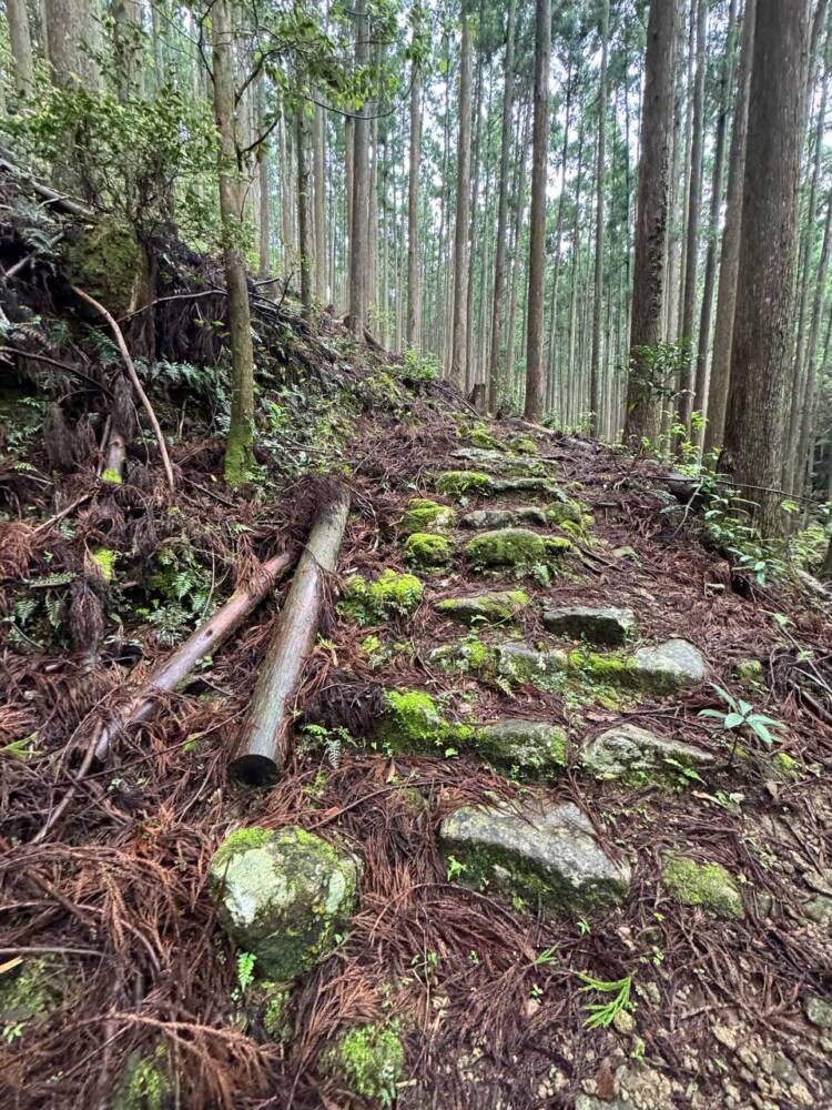 数々の集落跡地が残る景色が見れる新日本百名山『烏帽子山』