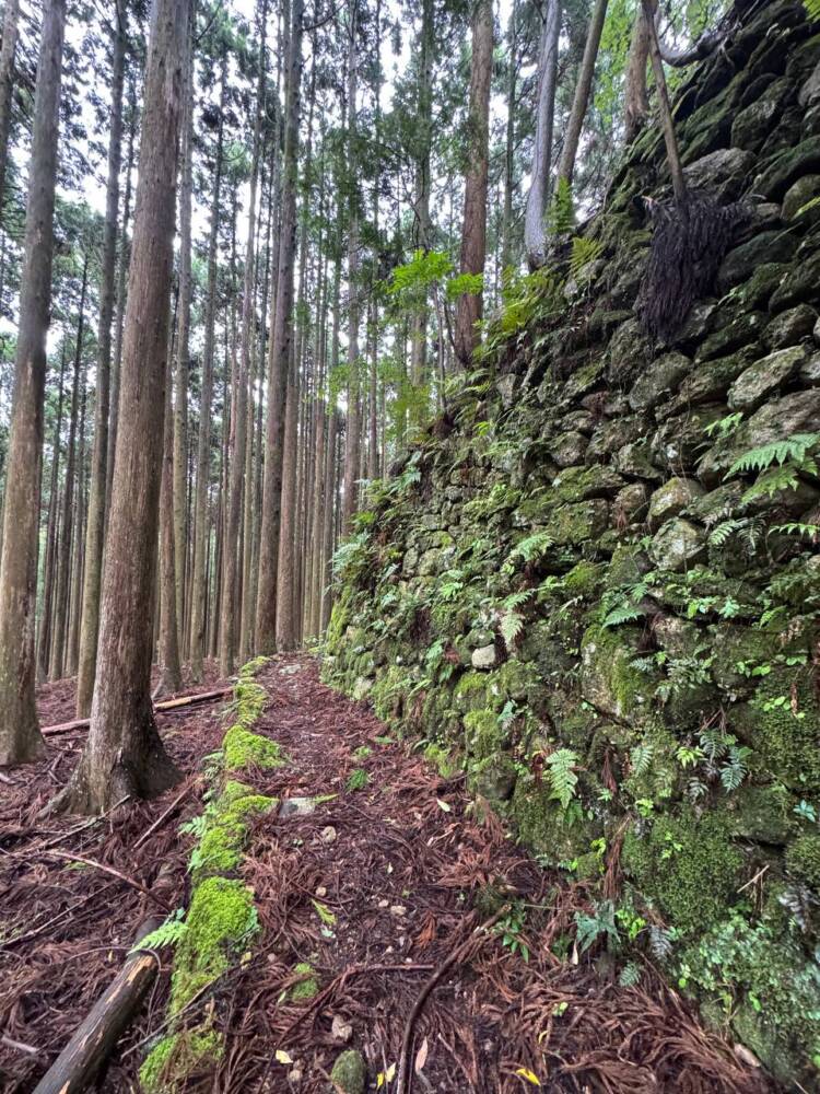 数々の集落跡地が残る景色が見れる新日本百名山『烏帽子山』
