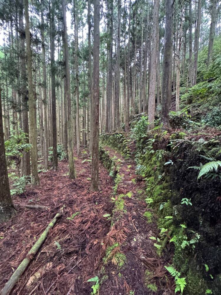 数々の集落跡地が残る景色が見れる新日本百名山『烏帽子山』