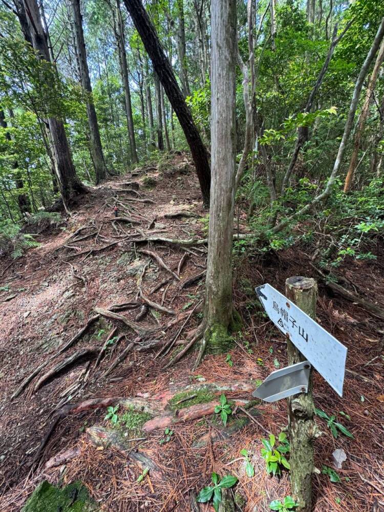 数々の集落跡地が残る景色が見れる新日本百名山『烏帽子山』