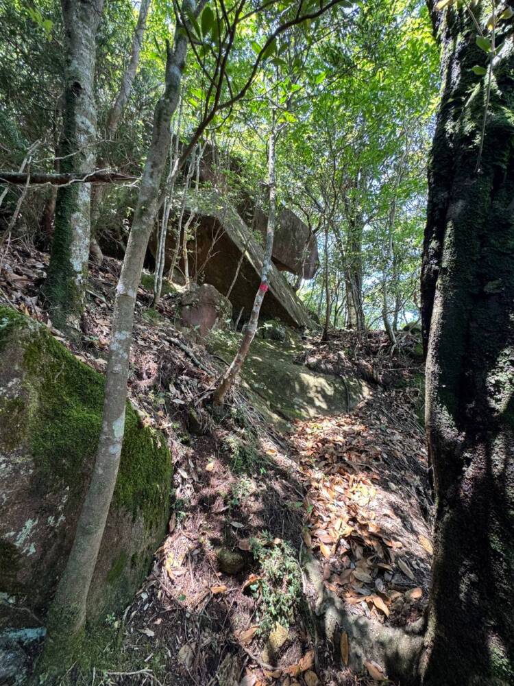 数々の集落跡地が残る景色が見れる新日本百名山『烏帽子山』