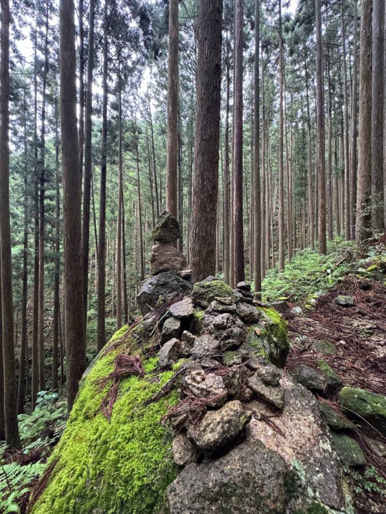 数々の集落跡地が残る景色が見れる新日本百名山『烏帽子山』