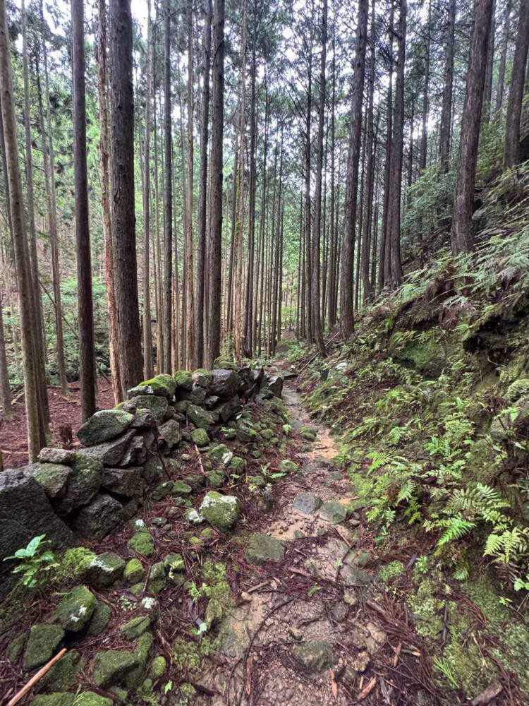 数々の集落跡地が残る景色が見れる新日本百名山『烏帽子山』