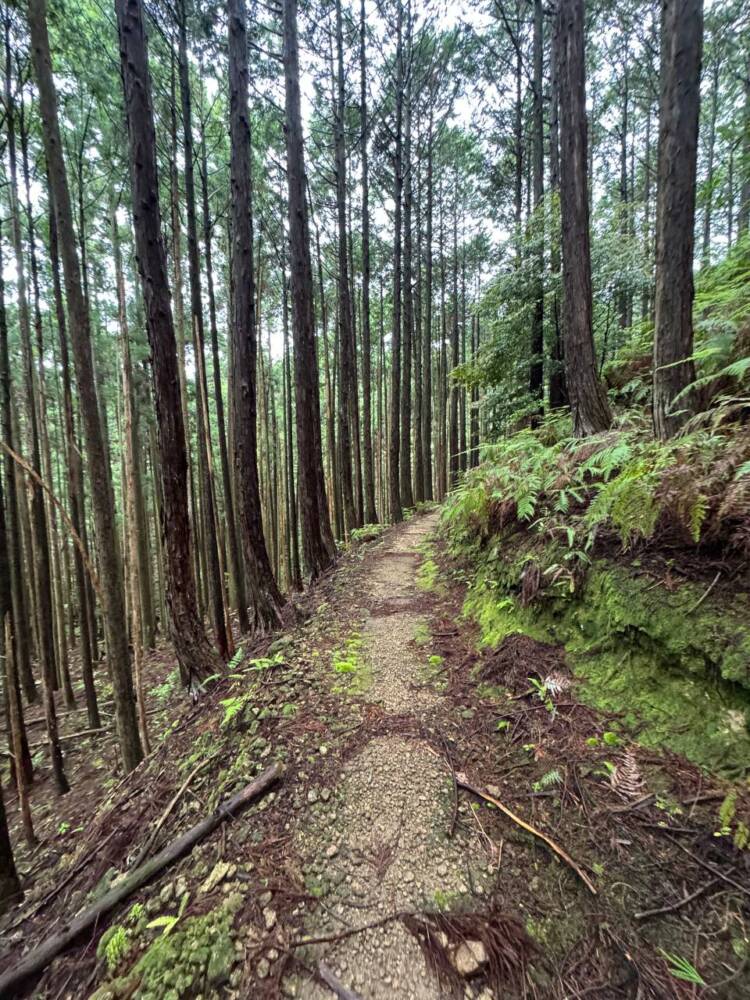 数々の集落跡地が残る景色が見れる新日本百名山『烏帽子山』