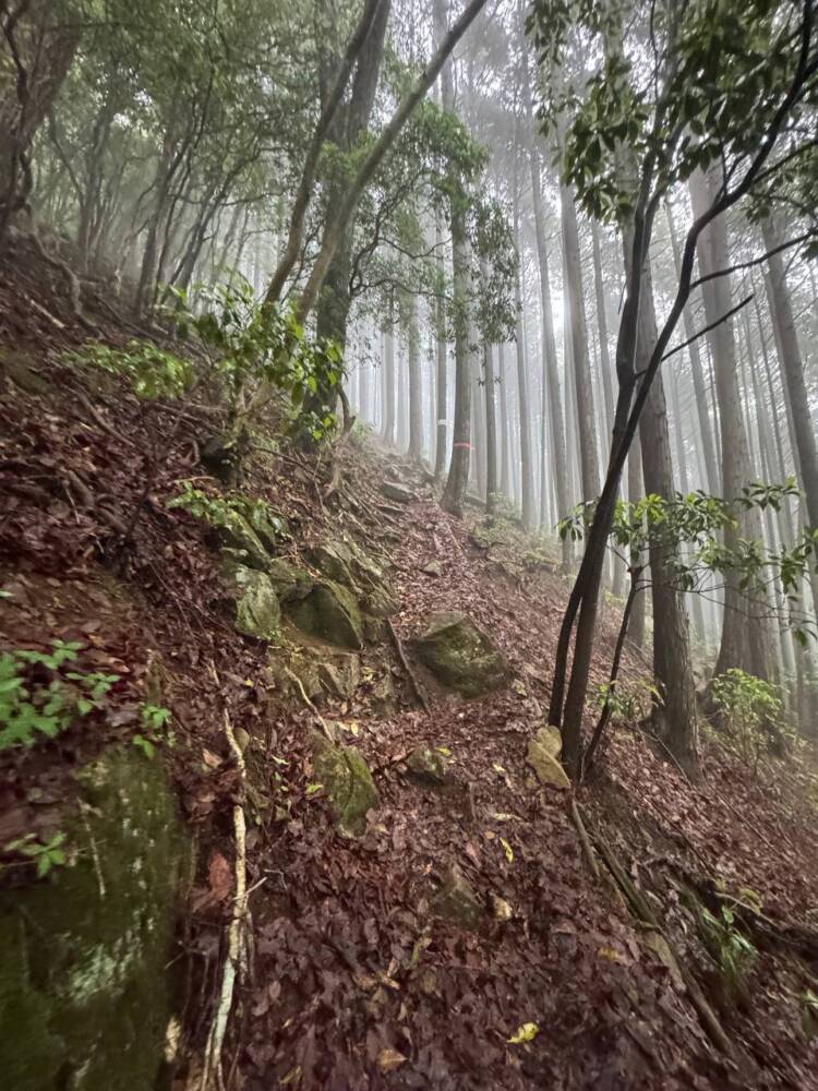 美しい山容で笠の形から播磨富士とも呼ばれる『笠形山』