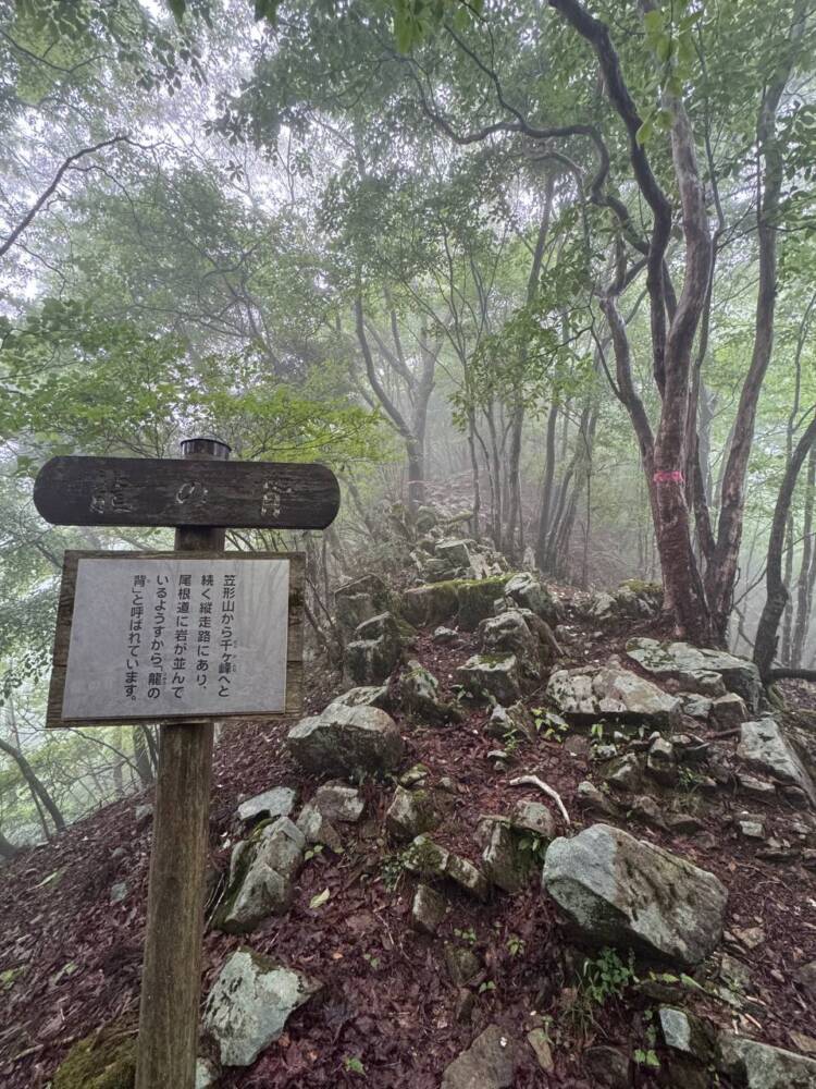美しい山容で笠の形から播磨富士とも呼ばれる『笠形山』