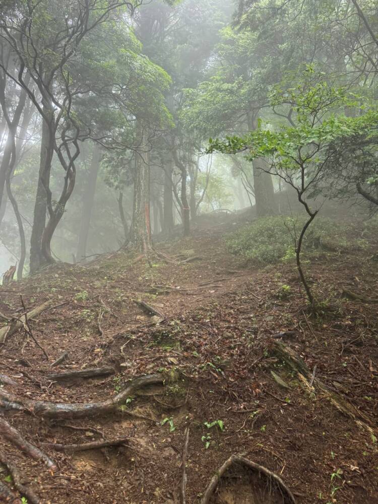 美しい山容で笠の形から播磨富士とも呼ばれる『笠形山』