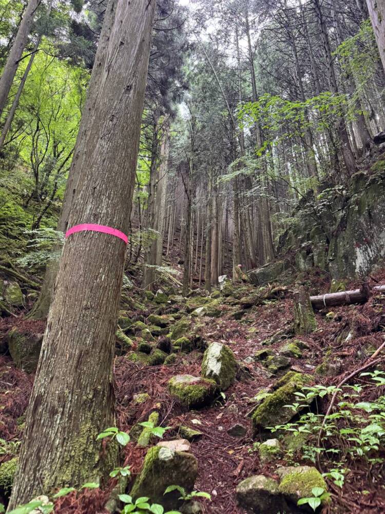 美しい山容で笠の形から播磨富士とも呼ばれる『笠形山』